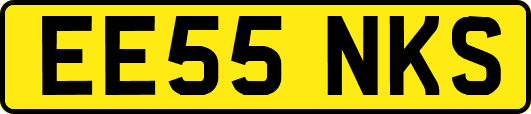 EE55NKS