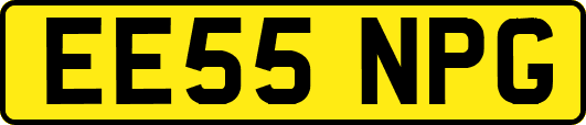 EE55NPG