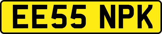 EE55NPK