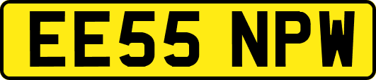 EE55NPW
