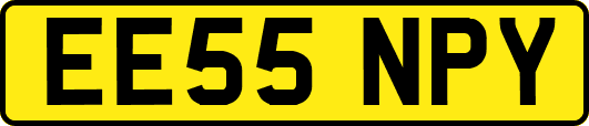 EE55NPY