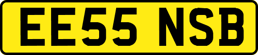 EE55NSB