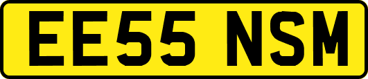 EE55NSM
