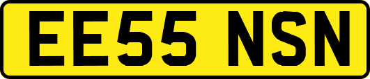 EE55NSN
