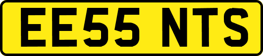 EE55NTS
