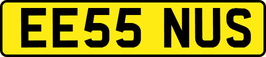 EE55NUS