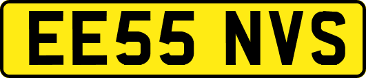 EE55NVS