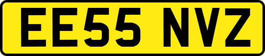 EE55NVZ