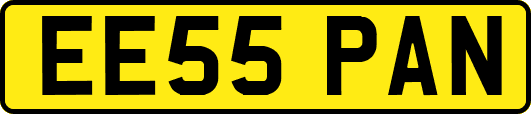 EE55PAN