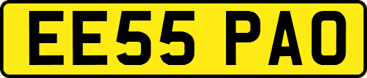 EE55PAO