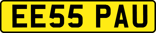 EE55PAU