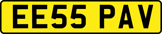 EE55PAV