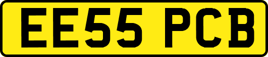 EE55PCB
