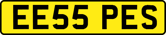 EE55PES