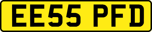 EE55PFD
