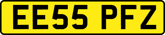 EE55PFZ