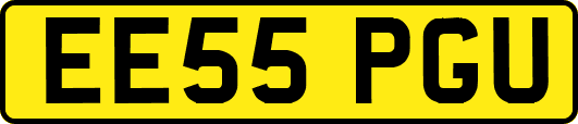 EE55PGU