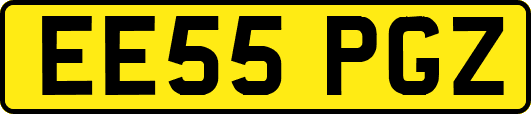EE55PGZ