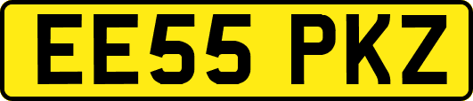 EE55PKZ