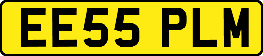 EE55PLM