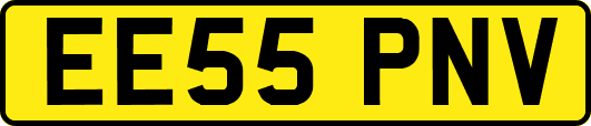 EE55PNV