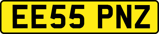 EE55PNZ