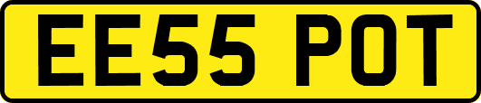 EE55POT
