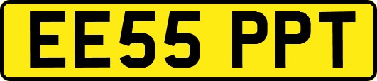 EE55PPT