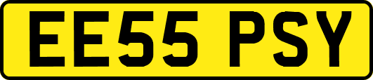 EE55PSY