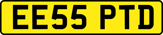 EE55PTD