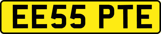 EE55PTE