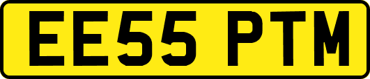EE55PTM