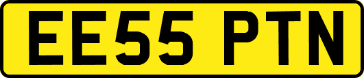 EE55PTN