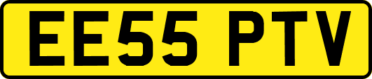 EE55PTV