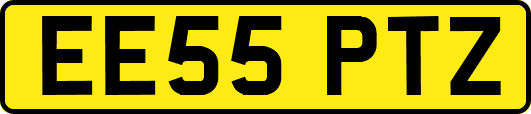 EE55PTZ