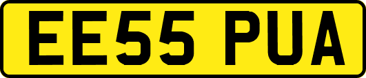 EE55PUA