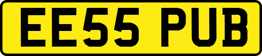 EE55PUB