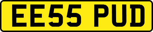 EE55PUD