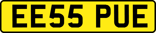 EE55PUE