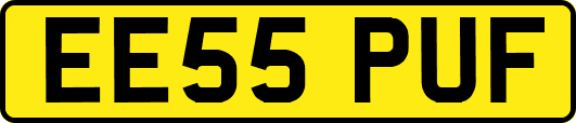 EE55PUF