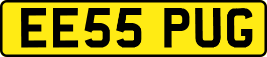 EE55PUG