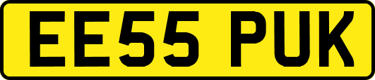 EE55PUK