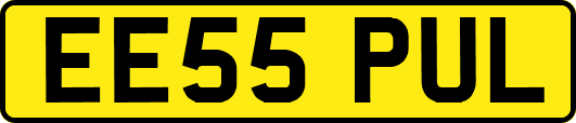 EE55PUL