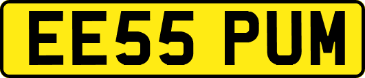 EE55PUM