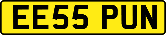 EE55PUN