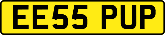 EE55PUP