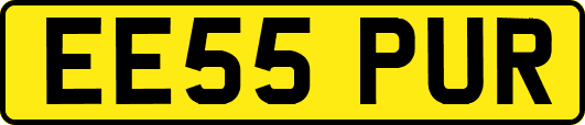 EE55PUR