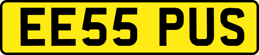EE55PUS
