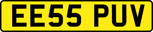 EE55PUV