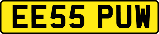EE55PUW